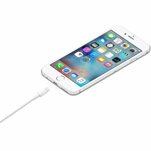 Apple MD819ZM/A Plastik 200 Cm Lightning Şarj ve Data Kablosu (Beyaz) VR-14591