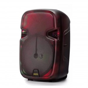 Nettech PK-29 Kablosuz Hoparlör - Speaker (Siyah) NT-102063