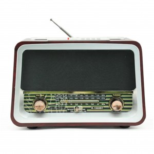 Raıseng R-1969BT Nostalji Radyo Kablosuz Hoparlör - Speaker (Gold) NT-103176