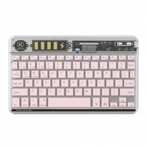 Nettech Şeffaf Klavye (Pembe) NT-104885