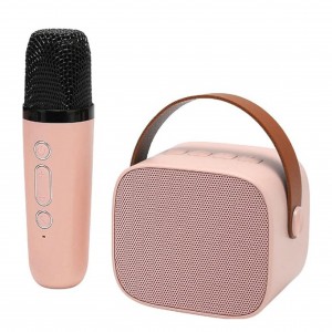 Nettech P2 Karaoke Box Kablosuz Hoparlör - Speaker NT-104920
