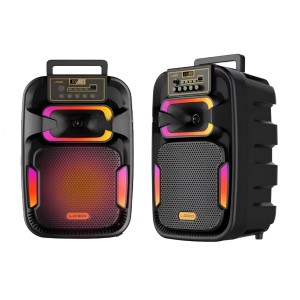 Nettech GY-801 Party Box Kablosuz Hoparlör - Speaker (Siyah) NT-110738
