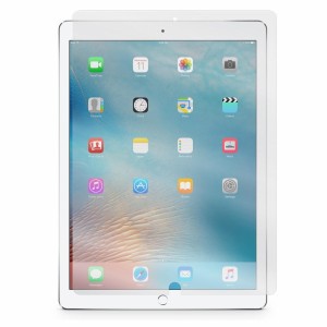 Nettech Apple iPad Pro 9.7 inç Uyumlu Ön Koruma Cam Ekran Koruyucu (Şeffaf) NT-14853