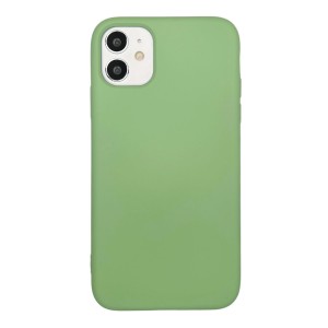 Nettech Apple iPhone 11 Uyumlu Nano Arka Koruma Kılıf (Yeşil) VR-19148