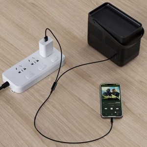 Nettech JBC037 USB + Jack To Lightning Dönüştürücü (Siyah) NT-84693
