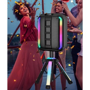 Nettech AY-1201 Party Box Kablosuz Hoparlör - Speaker (Siyah) NT-108799