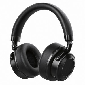 Nettech NT-HS09 Kulak Üstü Kulak Üstü Kulaklık (Siyah) NT-HS09