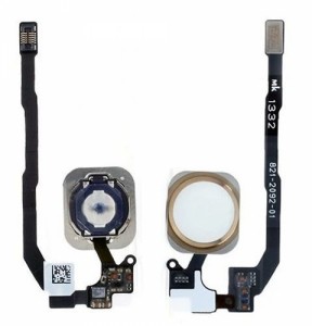 Teknonet Apple iPhone 5S Uyumlu Home Tuşu (Gold) VR-9598