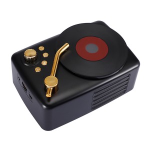 Nettech T12 Kablosuz Hoparlör - Speaker (Siyah) NT-82486