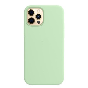 Nettech Apple iPhone 12 Pro Max Uyumlu Lansman Seri Arka Koruma Kılıf (Su Yeşili) NT-88965